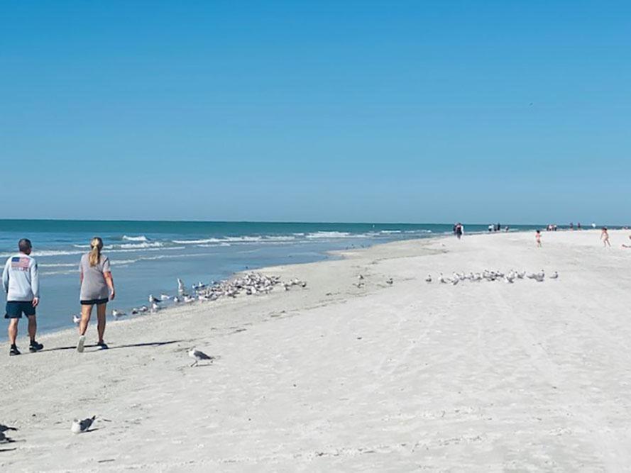 Redington On The Beach Sea Rocket Wifi Parking 14 Villa St. Pete Beach Exterior photo